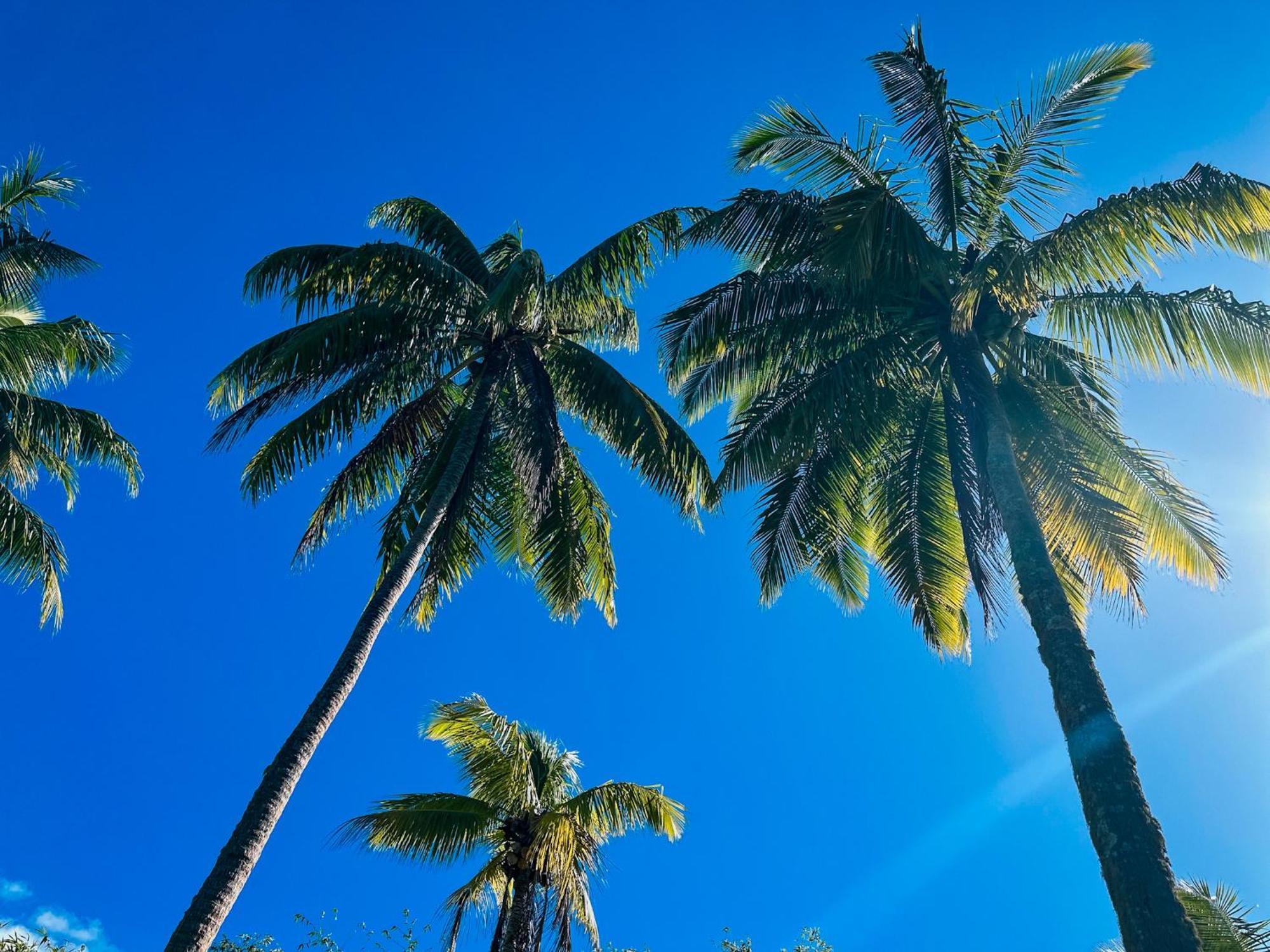 Villa Mitirapa Tahiti Экстерьер фото